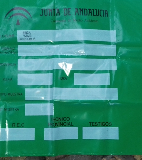 20190409_180734